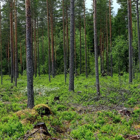 Lakeside By Mokeren * Östmarken