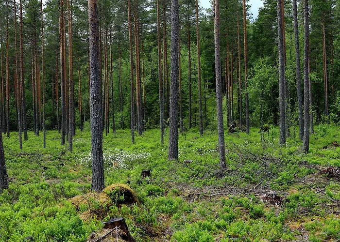 別荘 Lakeside By Mokeren *