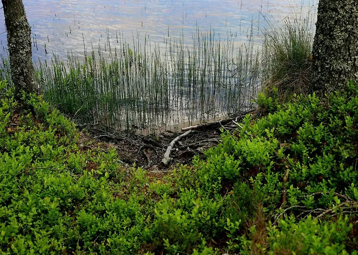 Lakeside By Mokeren Östmarken