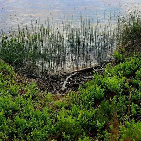 Lakeside By Mokeren Östmarken